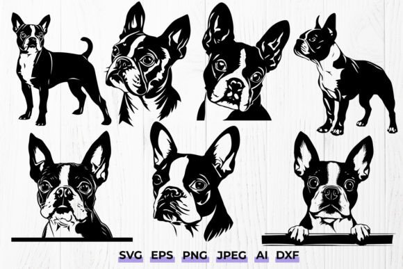 Boston Terrier SVG Bundle