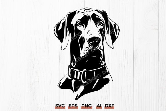 Great Dane Head Silhouette SVG
