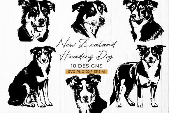 New Zealand Heading Dog Sheepdog SVG